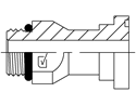 Picture of UNM-F61